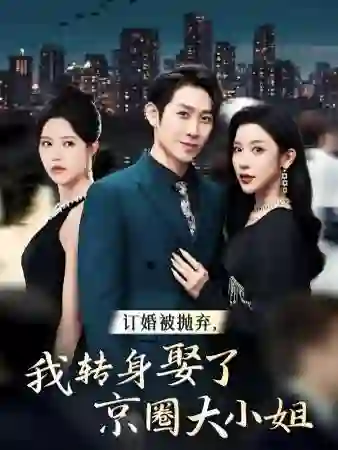 订婚被抛弃，我转身取了京圈大小姐